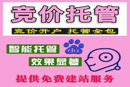 某品牌通过百度SEM提升品牌知名度的实战案例